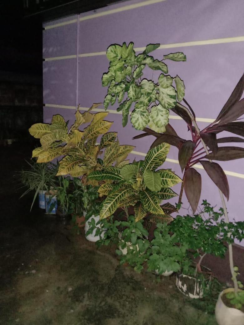 Vian Homestay Honāvar 외부 사진